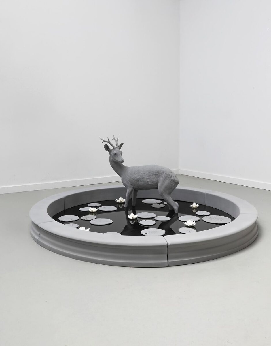 Pond (Roe Deer) (1)