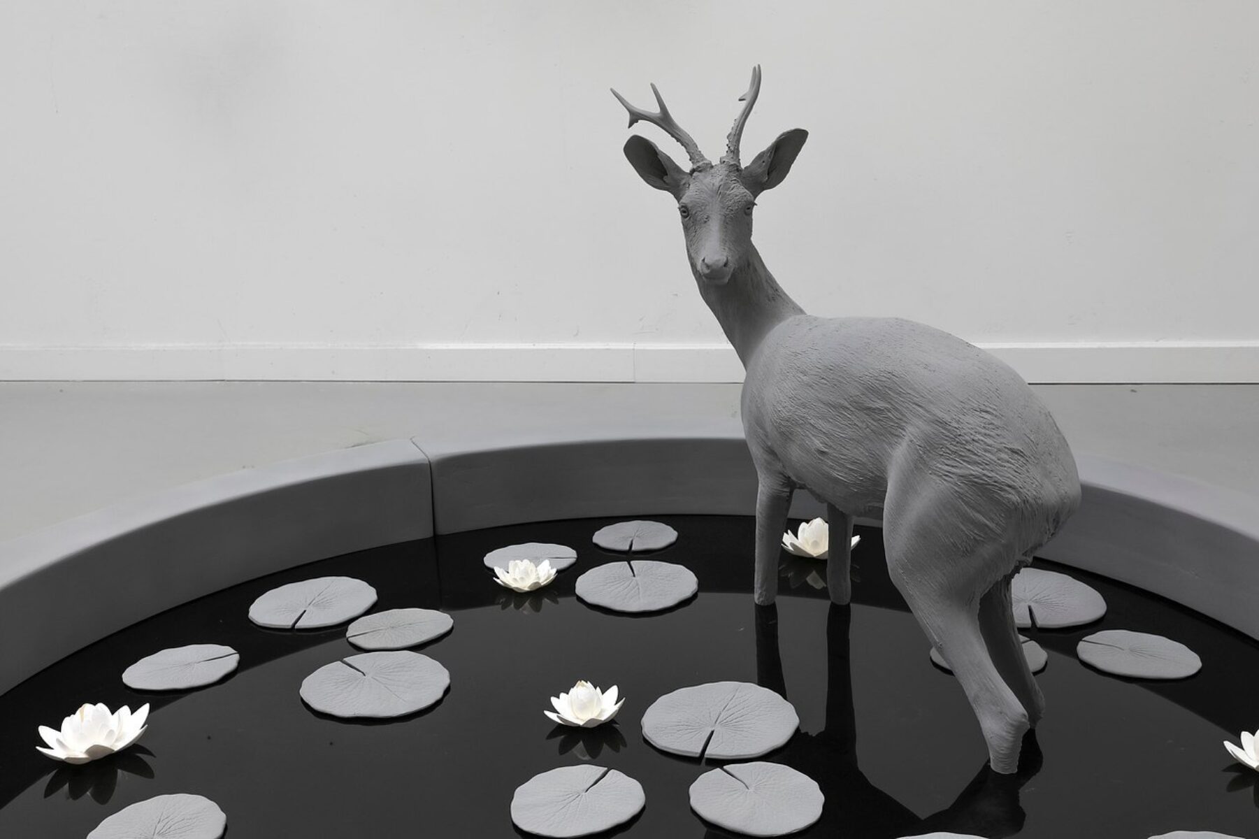 Pond (Roe Deer) (2)