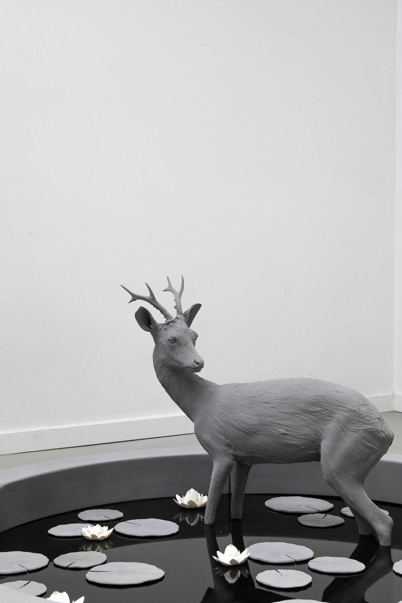 Pond (Roe Deer) (3)