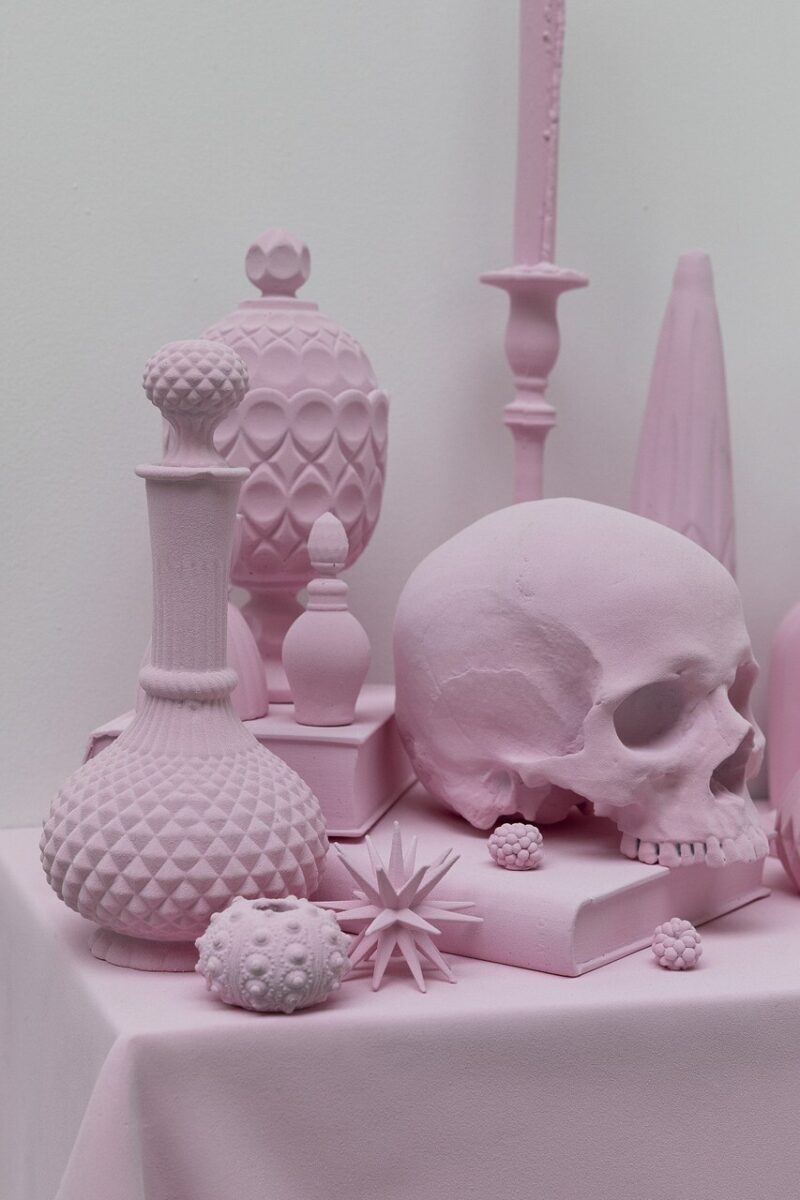 Vanitas Variation (Pink) (2)