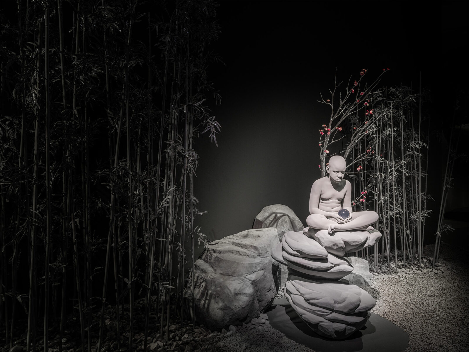 Nocturnal Journey (34)