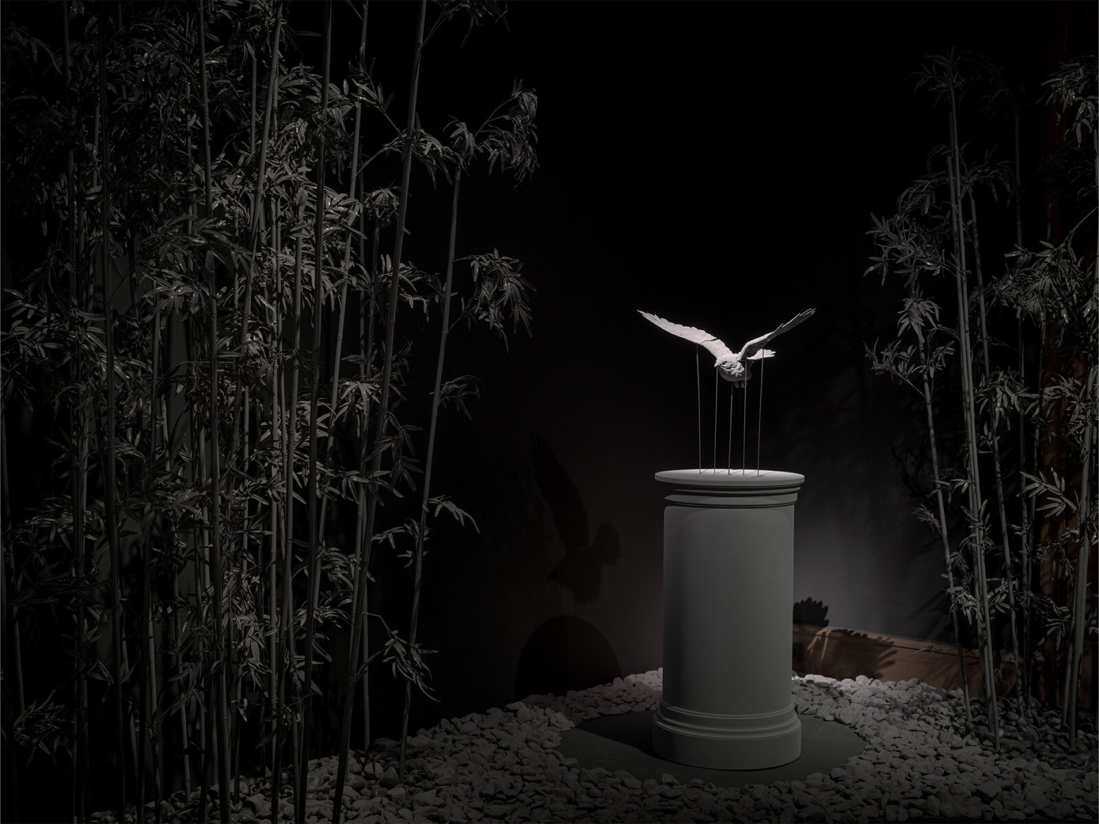 Nocturnal Journey (46)