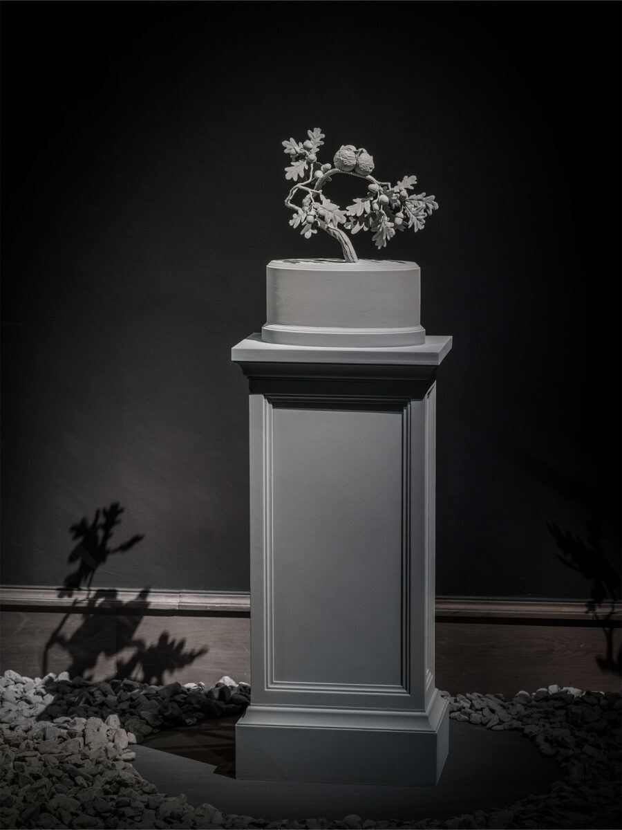 Nocturnal Journey (29)