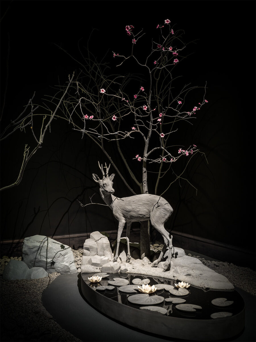 Nocturnal Journey (8)