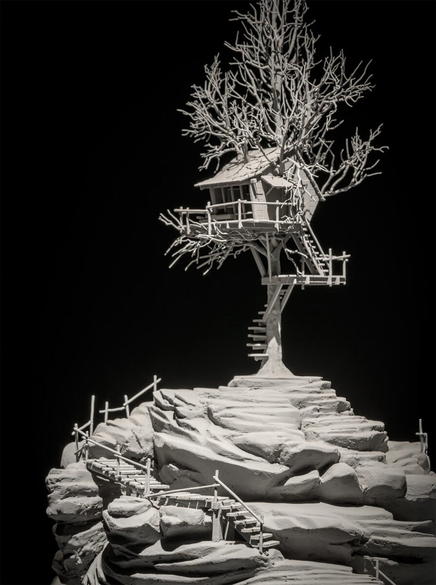 Nocturnal Journey (24)