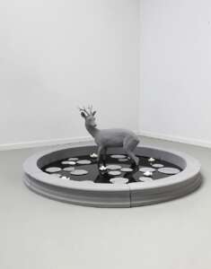 Pond (Roe Deer) (1)