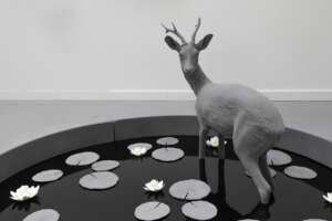 Pond (Roe Deer) (2)