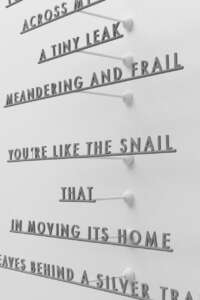 Sculptural Poems (5)