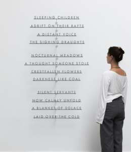 Sculptural Poems (1)