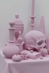 Vanitas Variation (Pink) (2)