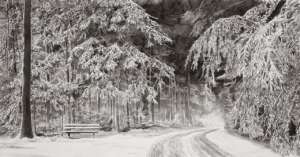 Watercolours (3)