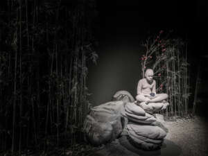 Nocturnal Journey (34)