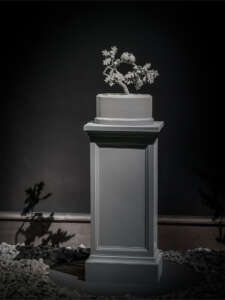 Nocturnal Journey (29)
