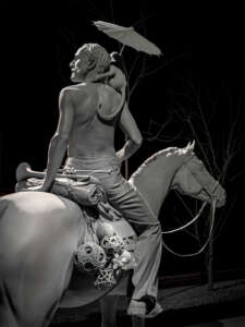 Nocturnal Journey (7)