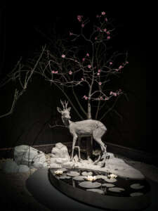 Nocturnal Journey (8)