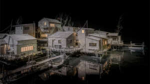 Nocturnal Journey (19)