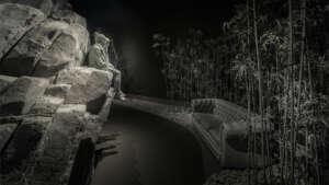 Nocturnal Journey (62)