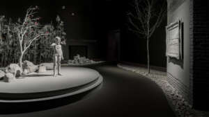 Nocturnal Journey (2)