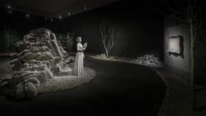 Nocturnal Journey (58)