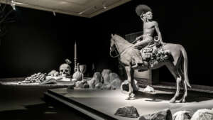 Nocturnal Journey (5)