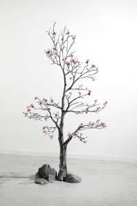 Blossom Trees (5)